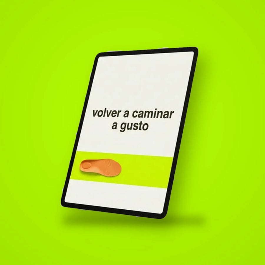 Guía en PDF