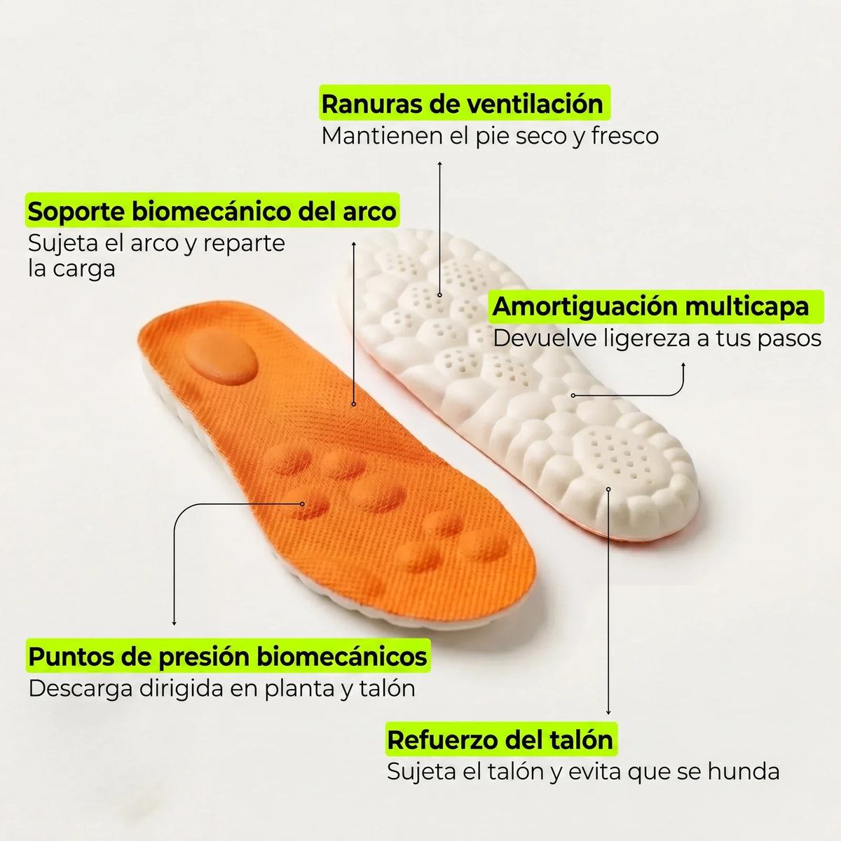 nubelina infografia partes