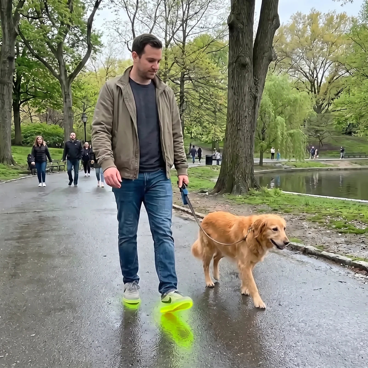 Pasear al perro